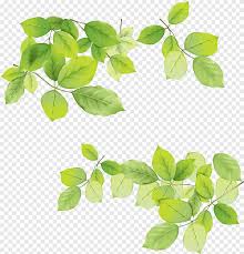 Maybe you would like to learn more about one of these? Daun Daun Hijau Daun Daun Hijau Png Pngegg