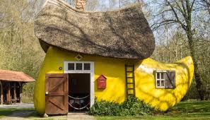 images?q=tbn:ANd9GcQHh0hn_ftF_YTCSi3mER0