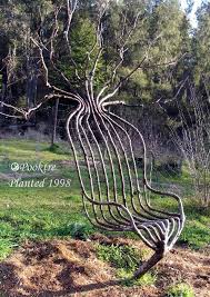 Pooktre Living Garden Chair Pooktre Tree Shapers Garden Art Diy Garden Art Tree Chair