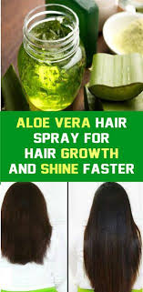 Aloe Vera Hair Spray For Hair Growth Aloe Vera For Hair Aloe Vera Gel For Hair Growth Aloe For Hair