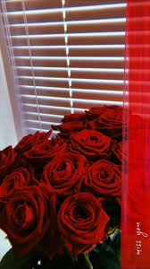 Bianco invia mazzo 3 rose per una fantastica sorpresa. Pin By Bella On Rose Bouquet Flower Phone Wallpaper Rose Wallpaper Flower Aesthetic