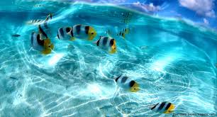 Check spelling or type a new query. Free Live Wallpapers For Windows 7 Group 54