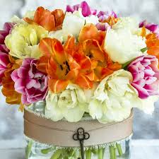 Crea il tuo orto o fai fiorire il tuo balcone! So Bleiben Blumen In Der Vase Lange Frisch Ndr De Ratgeber Garten Zierpflanzen