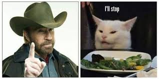 More About That Woman And That Cat Video 103 9 The Pig
