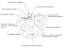 Toyota Tacoma Knock Sensor Location
