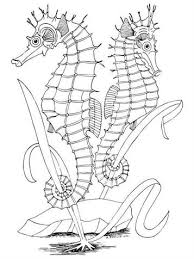 We have collected 35+ seahorse coloring page for kids images of various designs for you to. Kids N Fun Com 15 Coloring Pages Of Seahorse
