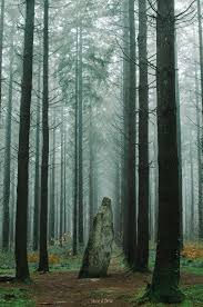 Menhir Dans La Foret Brumeuse Baud Morbihan Bretagne Foret De Broceliande Paysage Foret