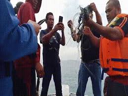 The boeing 737 plane lost more than 10,000 feet of altitude in less than a minute, reported flight tracker website flightradar24. Tdor4igrhfzzjm