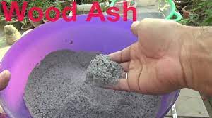 We did not find results for: How To Make Plant Fertilizer Wood Ash For Plants Best Homemade Fertilizer Urdu Hindi Youtube