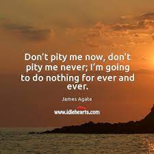 Don T Pity Me Now Don T Pity Me Never I M Going To Do Nothing For Ever And Ever Idlehearts