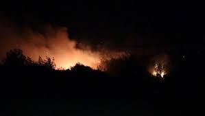 Gece geç saatlerde başlayan orman yangınına kozan, aladağ ve adana orman i̇şletme. Ukzmhcyuuefjgm