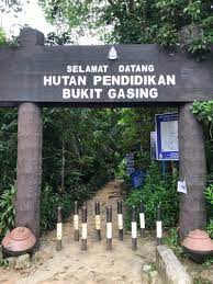 Ada 20 gudang lagu bukit gasing petaling jaya 2017 terbaru, klik salah satu untuk download lagu mudah dan cepat. Bukit Gasing Hike Trail Petaling Jaya Selangor Malaysia Pacer