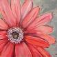 Color Your Daisey $44 – 3 Hour Event