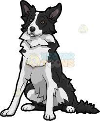 Black And White Collie Dog Clipart A Quiet Border Collie Dog A Dog With Black And White Fur Black Nose And Eyes Sits On The Floor To Take A Break The Dog Drawing Border Collie Art