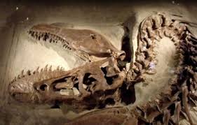 Maybe you would like to learn more about one of these? Digital Archaeology At A Dinosaur Dig Leiden University