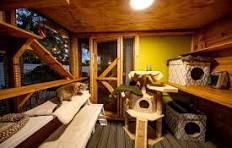 Gowoodhut Two Story Wooden Cat House Balcony Feral Cats Gowoodhut Outdoor  Cat House - Two Story Weatherproof Shelter With Balcony Weatherproof Cat ...