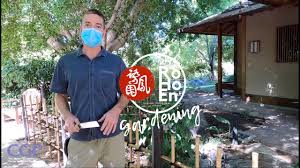 If you put it behind a tsukubai bowl or next to a japanese lantern, it will make them look more attractive. Japanese Gardening Techniques Bamboo Fence Building Tutorial Yotsume Gaki å››ç›®åž£ Youtube