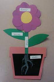 Parts Of A Plant Preschool Activities Preschool Science Plant Science