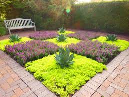 Garden With Drought Tolerant Creeping Sedum Stonecrop Shawna Coronado Sedum Garden Drought Tolerant Landscape Design Drought Tolerant Landscape