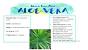 Scientific Botanical Name Of Aloe Vera