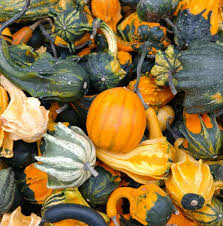 Check spelling or type a new query. Nutrition Comparison Zucchini Vs Squash