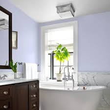 Great savings & free delivery / collection on many items. Timeless Lilac