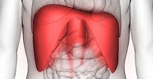 Lay back so your upper back is resting on the pad. Diaphragm Spasm Symptoms Causes And Treatment