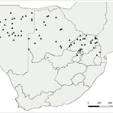 Image result for Corbichonia rubriviolacea