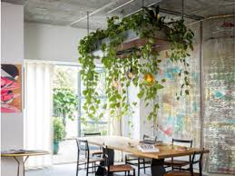 One easy and fun way to interior design your home is by caring for. A Comfortable And Fresh Dining Table In 2020 Plant Decor Interior Plants Indoor Plant Wall