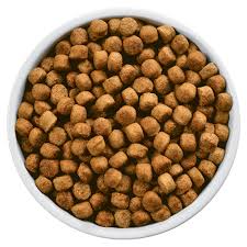 With the prices that vets charge these days, it might be tempting to consider the possibility of something criminal, but in the case of. What You Don T Know About Your Dog S Kibble By Nomnomnow Medium