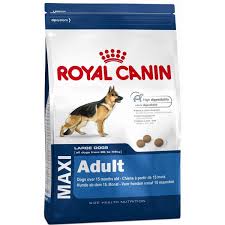 Royal Canin Maxi Adult Buyuk Irk Yetiskin Kopek Mamasi 15 Kg Frog Pet Store