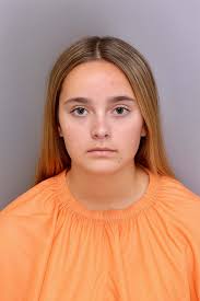 Bullying, a love triangle and nine arrested teens: Inside the killing of a  16-year-old boy 'lured to his death'