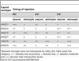 Image result for Black 1996 AAV