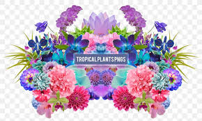 1,483 free images of floral wallpaper. Desktop Wallpaper Floral Design Aesthetics Png 800x491px Floral Design Aesthetics Artificial Flower Cut Flowers Floristry Download