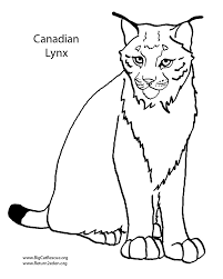 Dessins gratuits colorier coloriage lynx imprimer. Coloriage Lynx 10808 Animaux Album De Coloriages