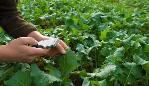 Goh and chew, 2000) and soil fertility which affects fertiliser input, the largest cost item. Precision Farming Agriculture And Food Sgs