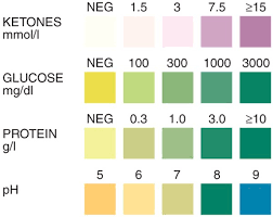 Correct Urine Sugar Chart Urine Protein Chart Urine Test