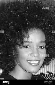 1987 whitney hi-res stock photography and images