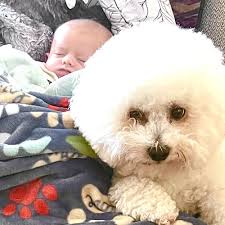 BEST of Temecula, CA Cat Nail Trim