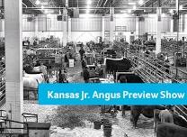 Kansas Junior Angus Preview Show