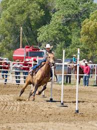 Horse racing is an exciting sport filled with strong competition. Pole Bending Wikipedia