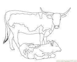 Download texas longhorn coloring page and use any clip art,coloring,png graphics in your website, document or presentation. Longhorn Cow Calf Coloring Page For Kids Free Cow Printable Coloring Pages Online For Kids Coloringpages101 Com Coloring Pages For Kids