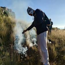 Bruno Tomasini (@tomasinibruno) • Instagram photos and videos