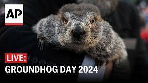 Groundhog Day - Everyday Lillie