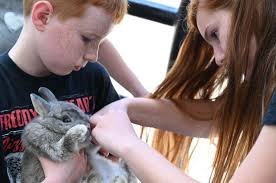 Editorial: Thumbs down for church vandalism; thumbs up for fair, K-9 dogs,  teacher nomination