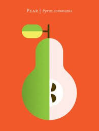 Des Fruits Dans L Assiette D Un Designer Illustration Pomme Idees D Art Illustrations Vectorielles