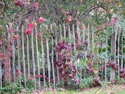 Staketenzaun 152 Cm H 5 M L Za 8 9 Cm Natur Pro Kastanie Shop Sichtschutzzaun Garten Garten Vorgarten Ideen