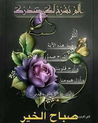 pin by rania ebrahim on صلوات على محمد واله و صباحياة beautiful morning messages good morning images flowers good morning animation