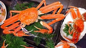 Image result for Crabbea kaessneri