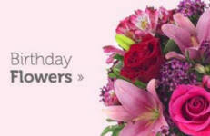 Send flowers and cake to houston. Houston Same Day Birthday Gift Delivery Fruit Chocolate Flower Cakes Cookies Balloons Today To Houston